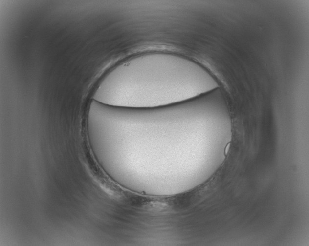 X0000068260159200604210923