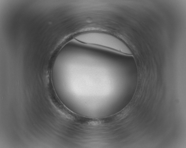 X0000068260160200604210923