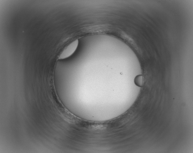 X0000068260161200604210923