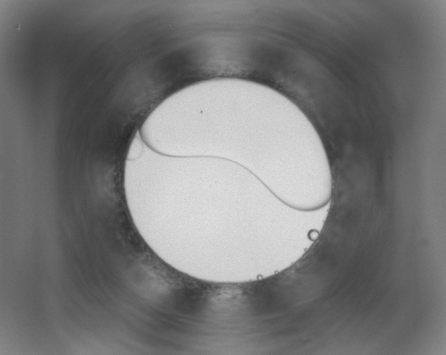 X0000068260162200604210923