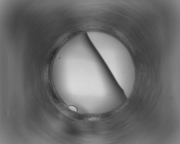 X0000068260163200604210923