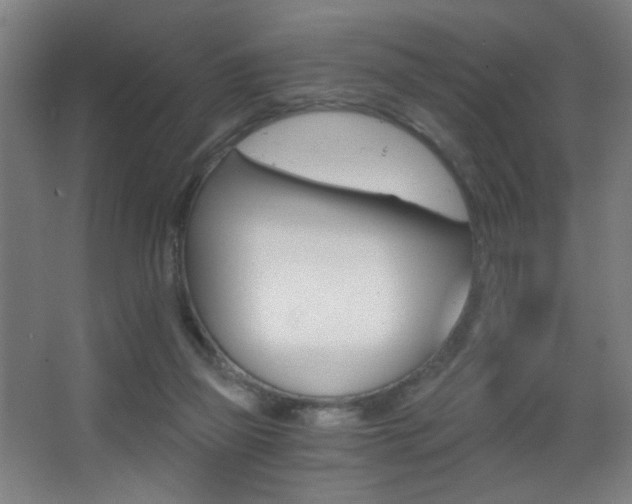 X0000068260165200604210923