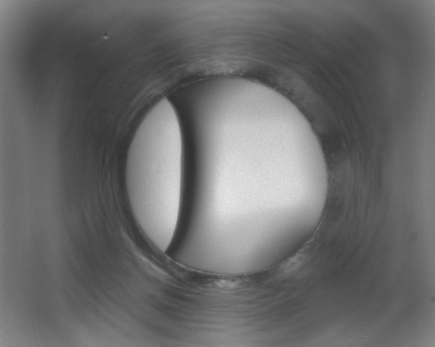 X0000068260166200604210923