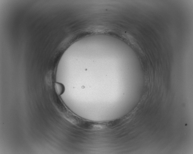 X0000068260167200604210923