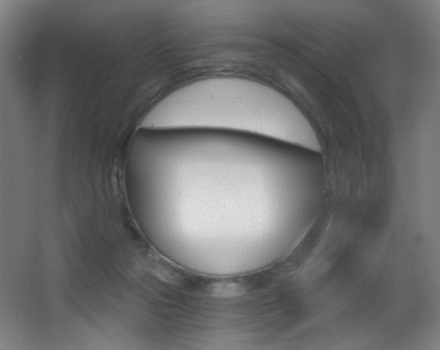 X0000068260169200604210923