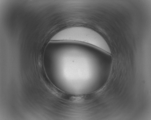 X0000068260170200604210923