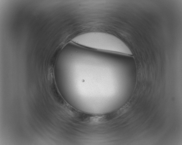 X0000068260172200604210924