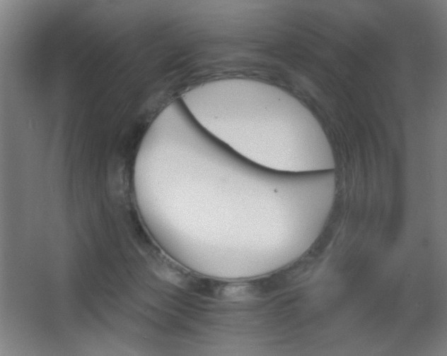 X0000068260173200604210924