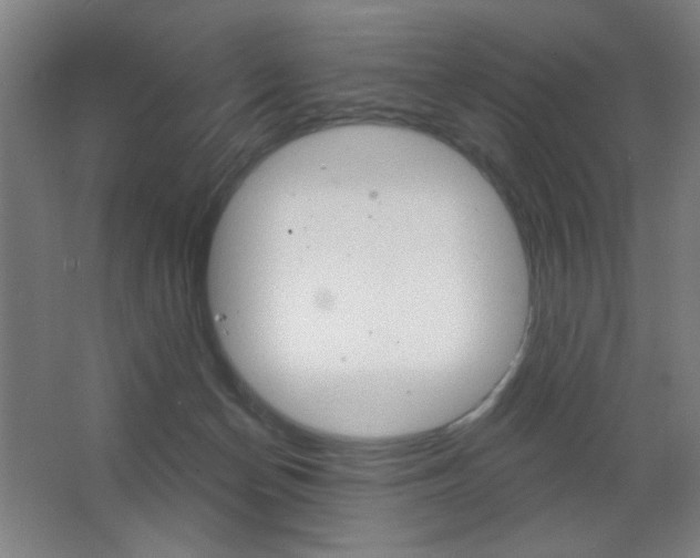 X0000068260174200604210924