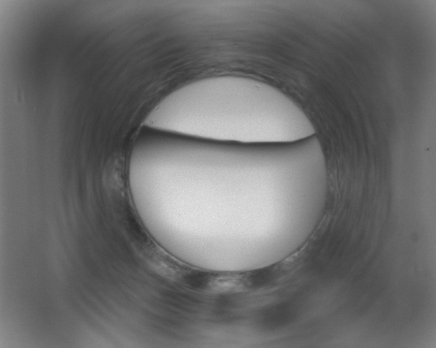 X0000068260175200604210924