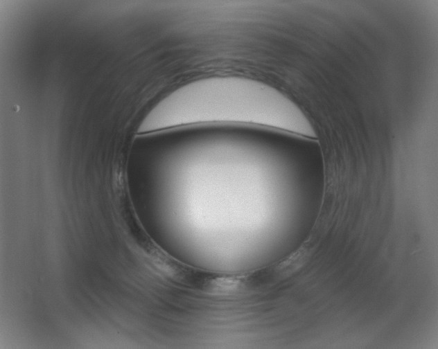 X0000068260176200604210924