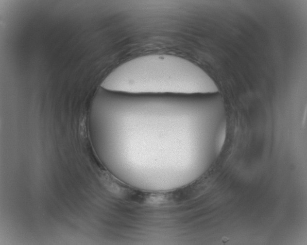 X0000068260177200604210924