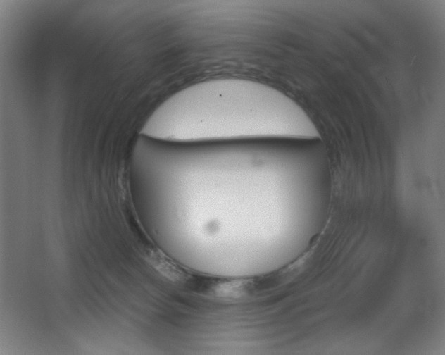 X0000068260178200604210924