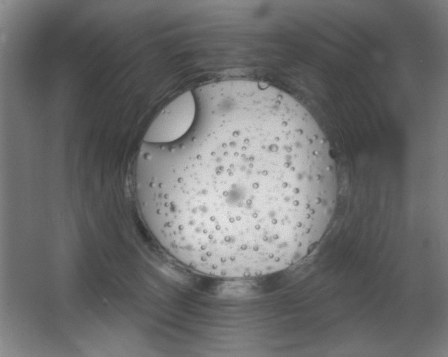 X0000068260179200604210924