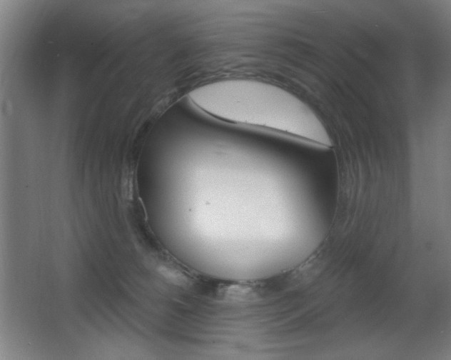 X0000068260180200604210924