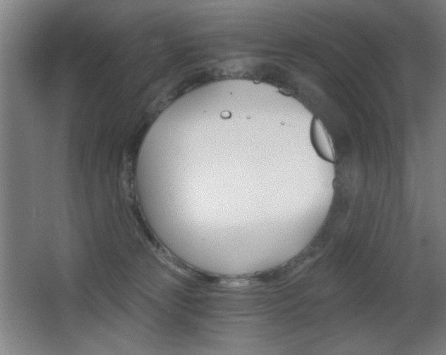 X0000068260181200604210924