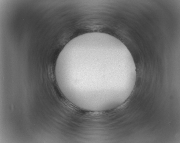 X0000068260182200604210924