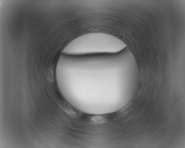 X0000068260183200604210924