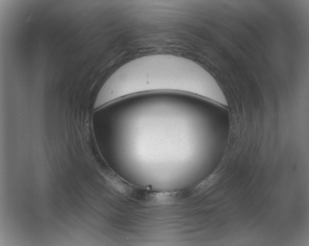 X0000068260184200604210924