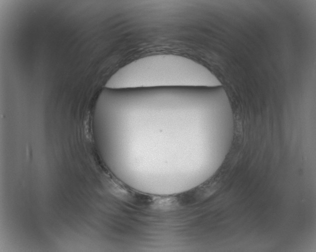 X0000068260185200604210924