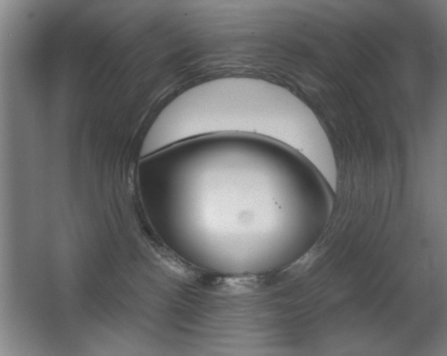 X0000068260188200604210924