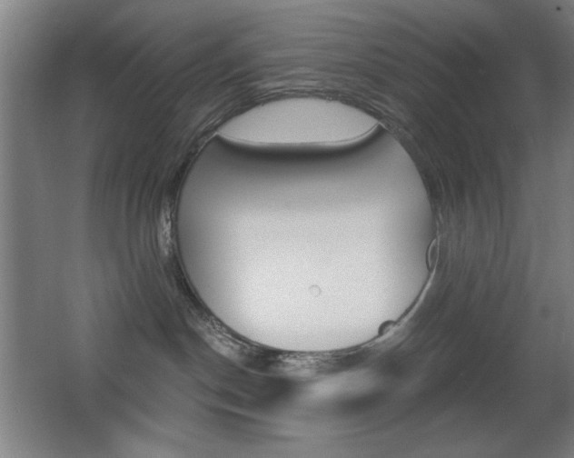 X0000068260190200604210924