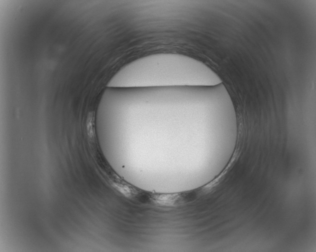 X0000068260191200604210924