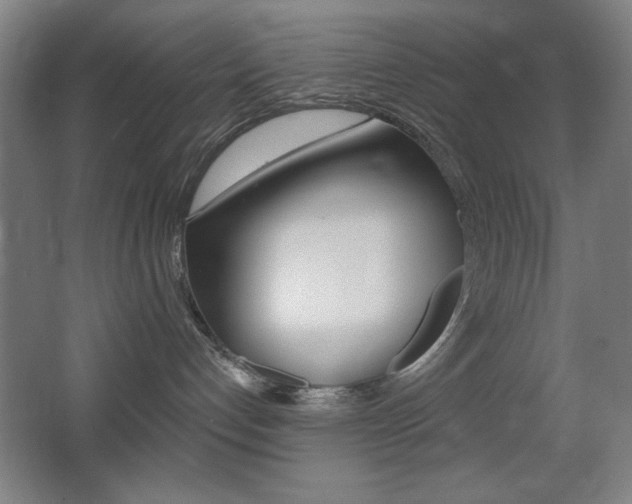 X0000068260192200604210924