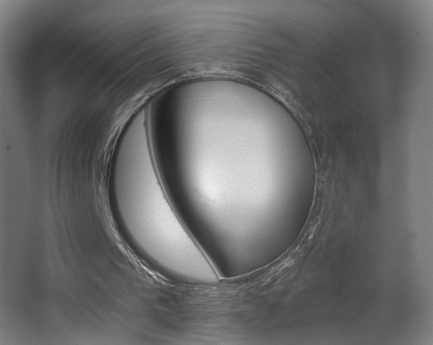 X0000068260193200604210923