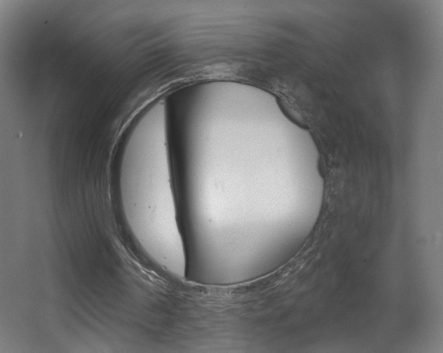 X0000068260194200604210923