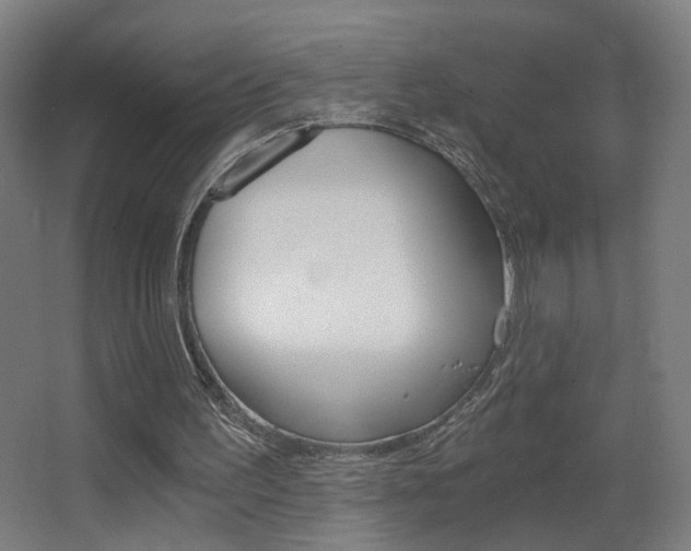 X0000068260195200604210923