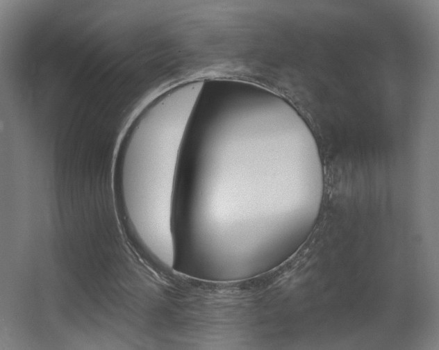 X0000068260196200604210923