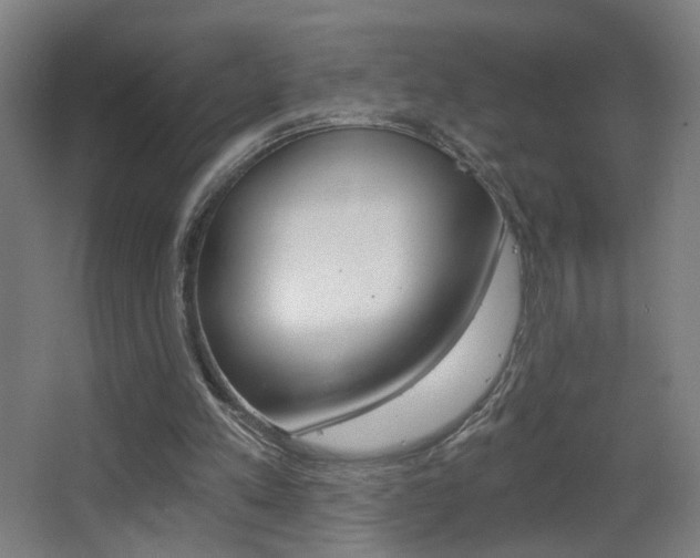 X0000068260197200604210923