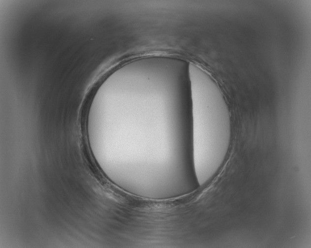 X0000068260198200604210923