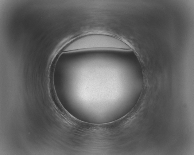 X0000068260199200604210923