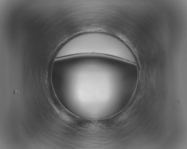 X0000068260201200604210923