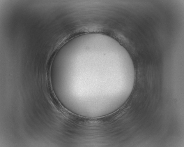 X0000068260202200604210923