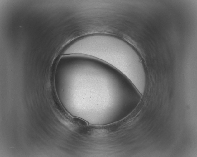 X0000068260203200604210923