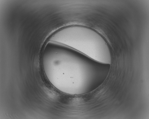 X0000068260204200604210923