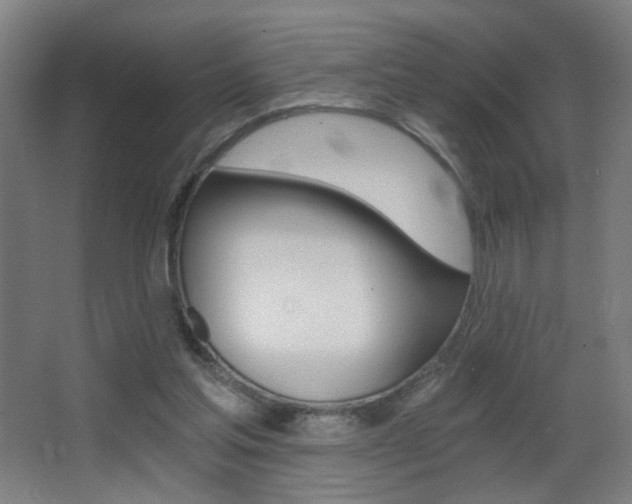 X0000068260205200604210923