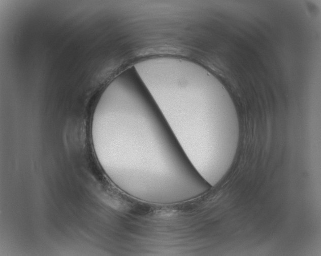 X0000068260206200604210923