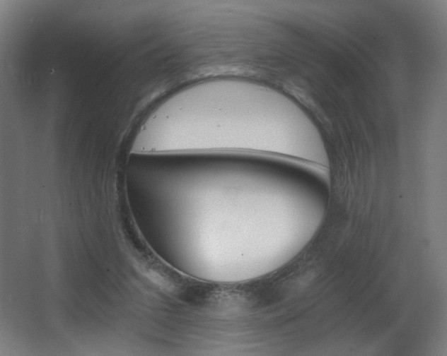 X0000068260207200604210923