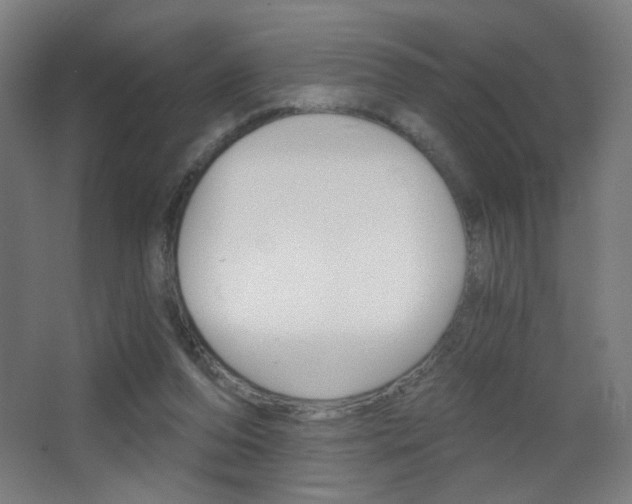 X0000068260208200604210923