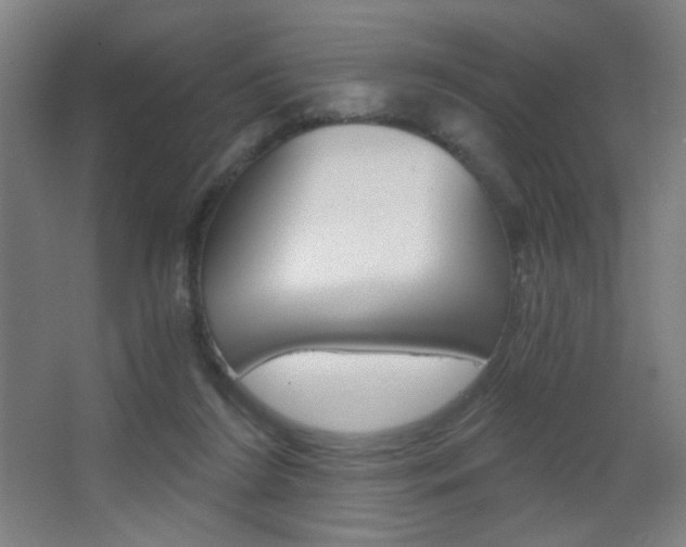 X0000068260212200604210923