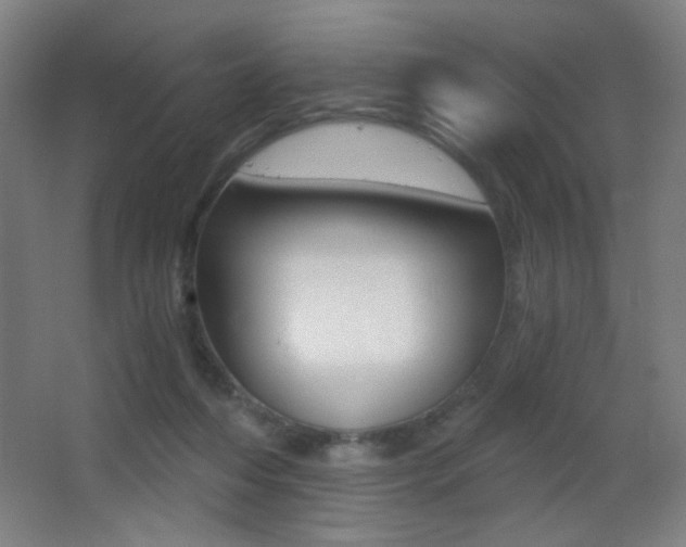 X0000068260216200604210923