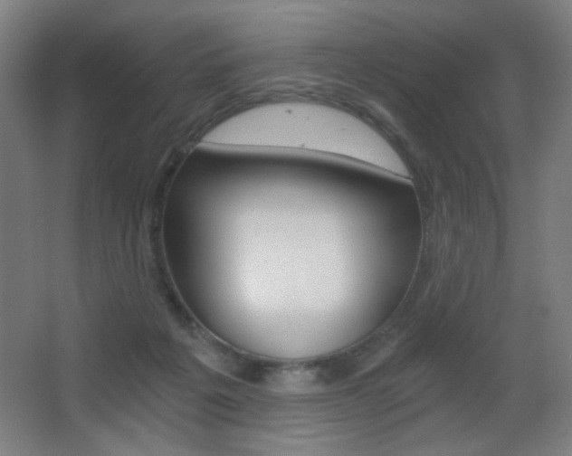 X0000068260217200604210923