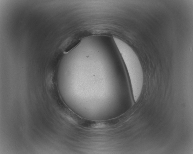 X0000068260219200604210923