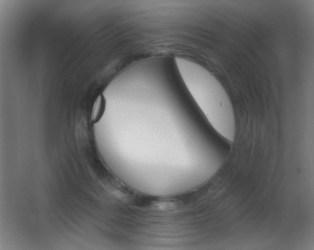 X0000068260220200604210923