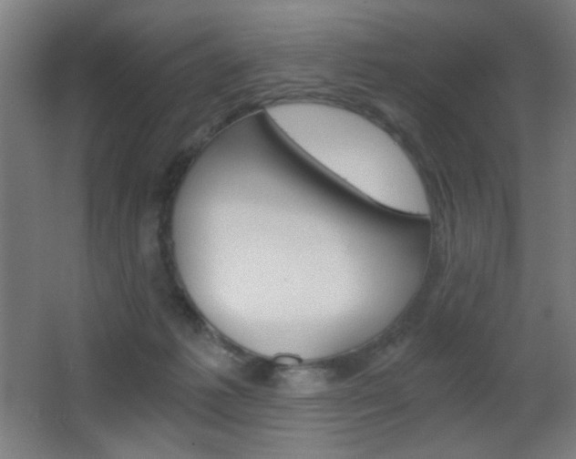 X0000068260221200604210923