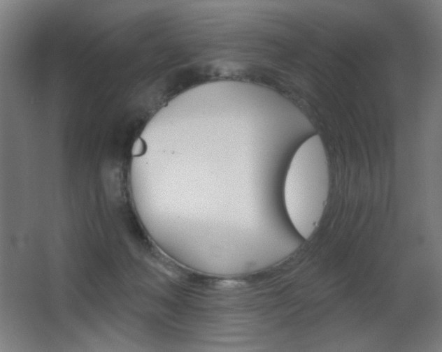 X0000068260222200604210923